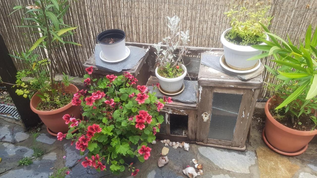 Guest House Antique 索佐波尔 外观 照片